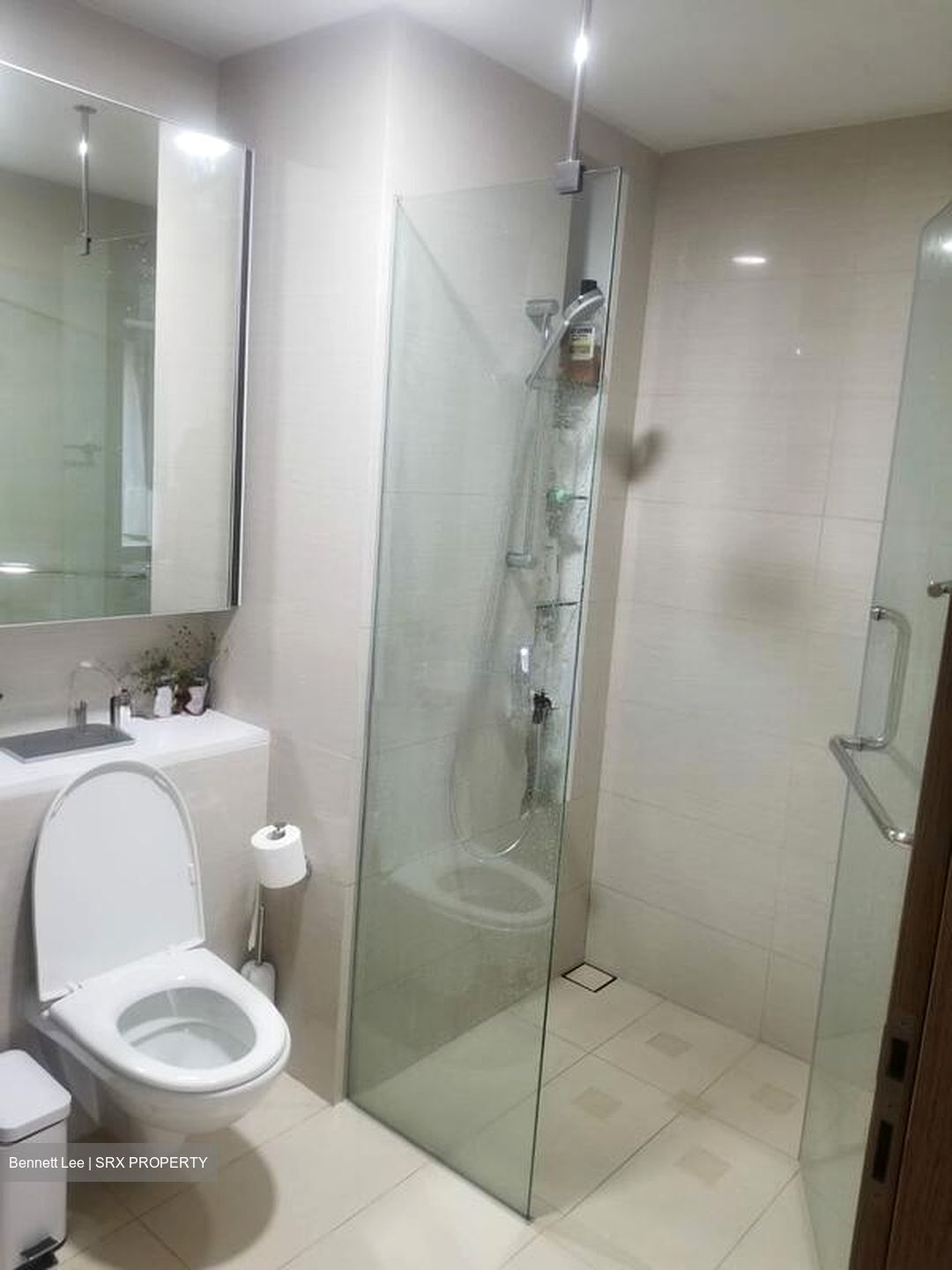 The Palette (D18), Condominium #499759881